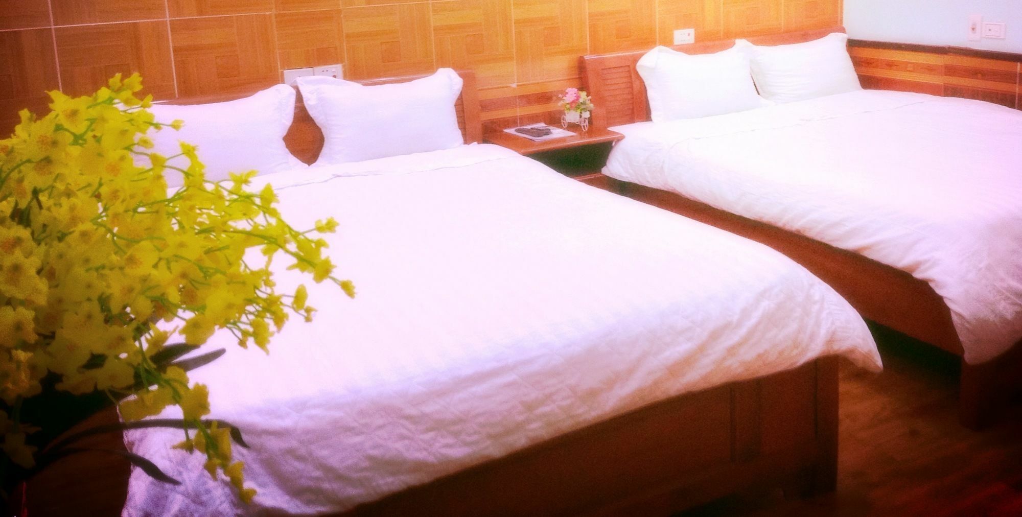 Noi Bai Family Homestay Экстерьер фото